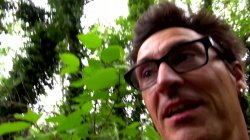 'Vogel(n) im Wald #2' screenshot nº 139