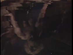 'Peter North's Cocked and Loaded' screenshot nº 125