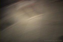 'Frat House Fuckfest 4' screenshot nº 49