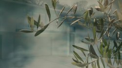 'First Anal Vol. 3' screenshot nº 7