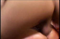 Captura de 'Anal Excursions 3' nº 123