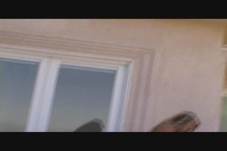 Captura de 'Performing Ass' nº 16