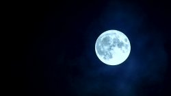 'Paranormal' screenshot nº 114