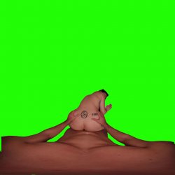 Captura de 'Passthrough Doggy/Missionary Compilation' nº 66