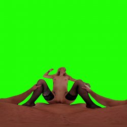 Captura de 'Passthrough Doggy/Missionary Compilation' nº 71