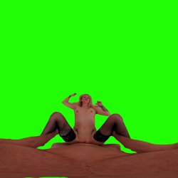 Captura de 'Passthrough Doggy/Missionary Compilation' nº 73