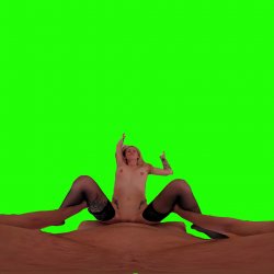 Captura de 'Passthrough Doggy/Missionary Compilation' nº 74