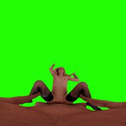 Captura de 'Passthrough Doggy/Missionary Compilation' nº 77