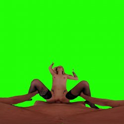 Captura de 'Passthrough Doggy/Missionary Compilation' nº 78