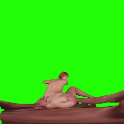 Captura de 'Passthrough Doggy/Missionary Compilation' nº 81