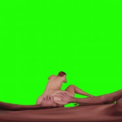 Captura de 'Passthrough Doggy/Missionary Compilation' nº 82