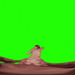 Captura de 'Passthrough Doggy/Missionary Compilation' nº 88