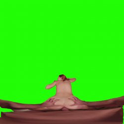Captura de 'Passthrough Doggy/Missionary Compilation' nº 90