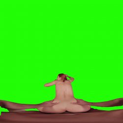 Captura de 'Passthrough Doggy/Missionary Compilation' nº 91