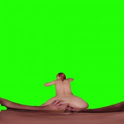 Captura de 'Passthrough Doggy/Missionary Compilation' nº 94
