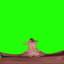 Captura de 'Passthrough Doggy/Missionary Compilation' nº 95