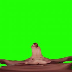 Captura de 'Passthrough Doggy/Missionary Compilation' nº 96