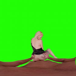 Captura de 'Passthrough Doggy/Missionary Compilation' nº 100