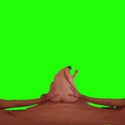 Captura de 'Passthrough Doggy/Missionary Compilation' nº 10