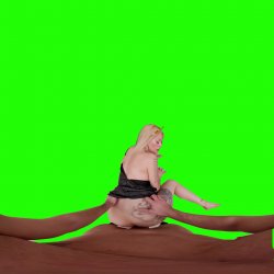Captura de 'Passthrough Doggy/Missionary Compilation' nº 104