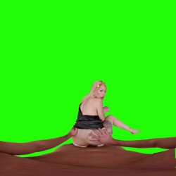 Captura de 'Passthrough Doggy/Missionary Compilation' nº 106