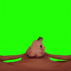 Captura de 'Passthrough Doggy/Missionary Compilation' nº 11