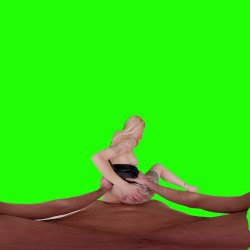 Captura de 'Passthrough Doggy/Missionary Compilation' nº 111