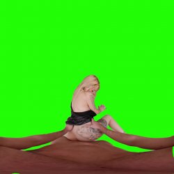 Captura de 'Passthrough Doggy/Missionary Compilation' nº 112