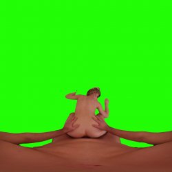 Captura de 'Passthrough Doggy/Missionary Compilation' nº 12