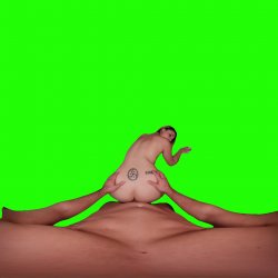 Captura de 'Passthrough Doggy/Missionary Compilation' nº 124