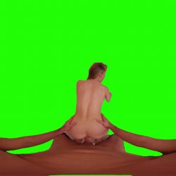 Captura de 'Passthrough Doggy/Missionary Compilation' nº 16