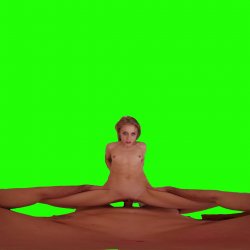 Captura de 'Passthrough Doggy/Missionary Compilation' nº 18