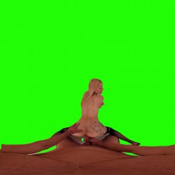 Captura de 'Passthrough Doggy/Missionary Compilation' nº 25