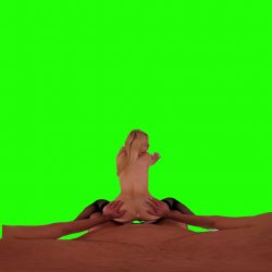Captura de 'Passthrough Doggy/Missionary Compilation' nº 26
