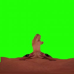 Captura de 'Passthrough Doggy/Missionary Compilation' nº 27