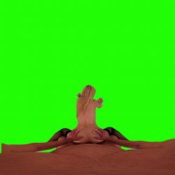 Captura de 'Passthrough Doggy/Missionary Compilation' nº 28