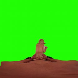 Captura de 'Passthrough Doggy/Missionary Compilation' nº 30