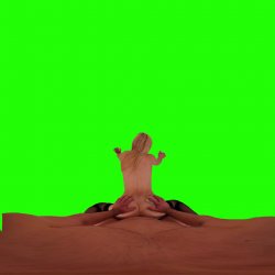 Captura de 'Passthrough Doggy/Missionary Compilation' nº 32