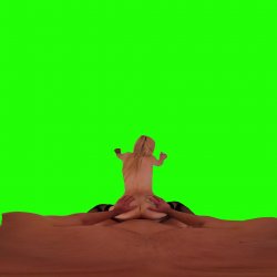 Captura de 'Passthrough Doggy/Missionary Compilation' nº 33