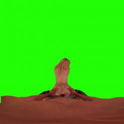 Captura de 'Passthrough Doggy/Missionary Compilation' nº 34