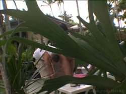 Captura de 'Filthy's Peepin' Tom 3' nº 41