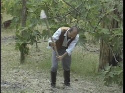 'Penelope' screenshot nº 53