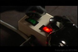 'Sex Mania' screenshot nº 124