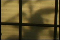 'Ready to Drop 32' screenshot nº 110