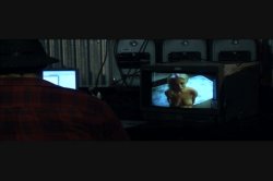 Captura de 'Sodom 3' nº 49