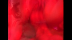 Captura de 'Extreme Behavior' nº 28