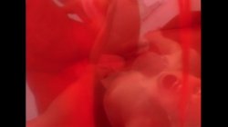Captura de 'Extreme Behavior' nº 50