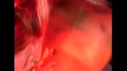 Captura de 'Extreme Behavior' nº 19