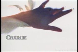 'White Angel' screenshot nº 2