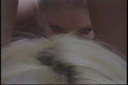 'All Girl Pussy Party 7' screenshot nº 77
